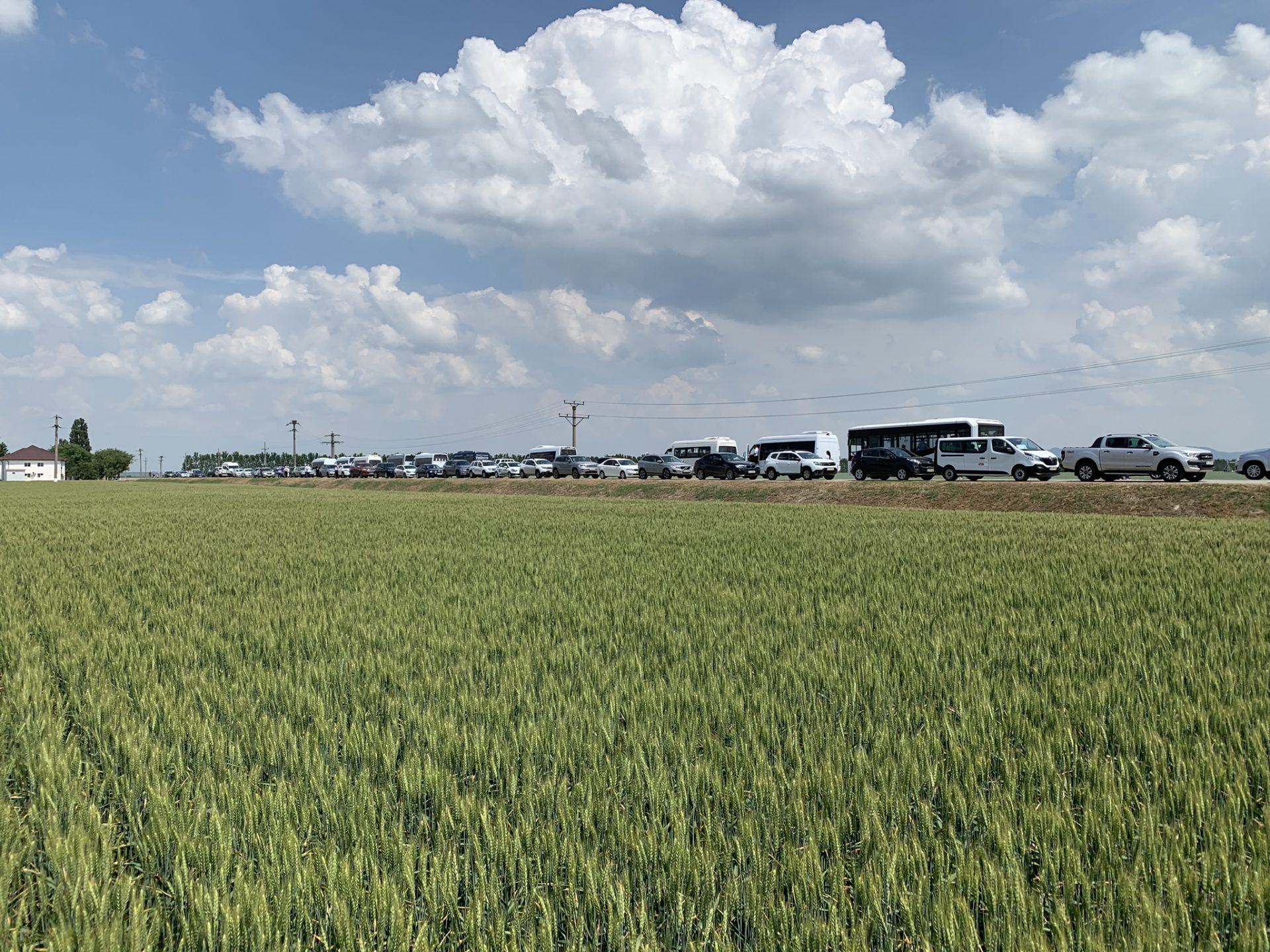 teren agricol