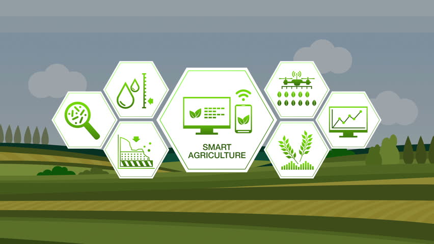 Infografice agricultura digitalizata
